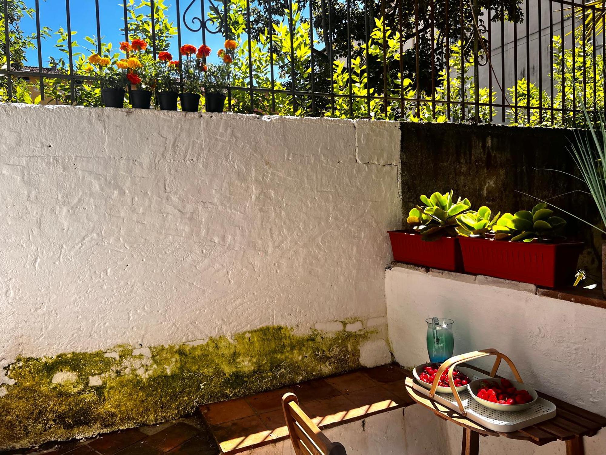 Casa In Pelleria Apartment Lucca Ngoại thất bức ảnh